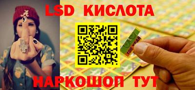 амф Сланцы
