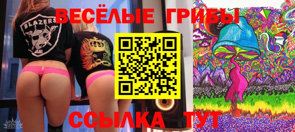 Псилоцибиновые грибы Magic Shrooms Волгодонск